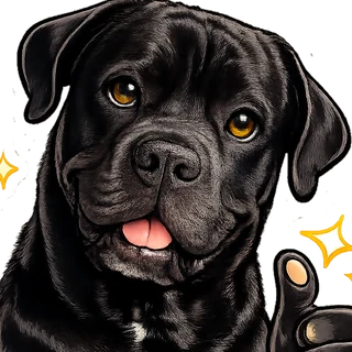 Nero, der Cane Corso und Redaktionshund von BOMOTS